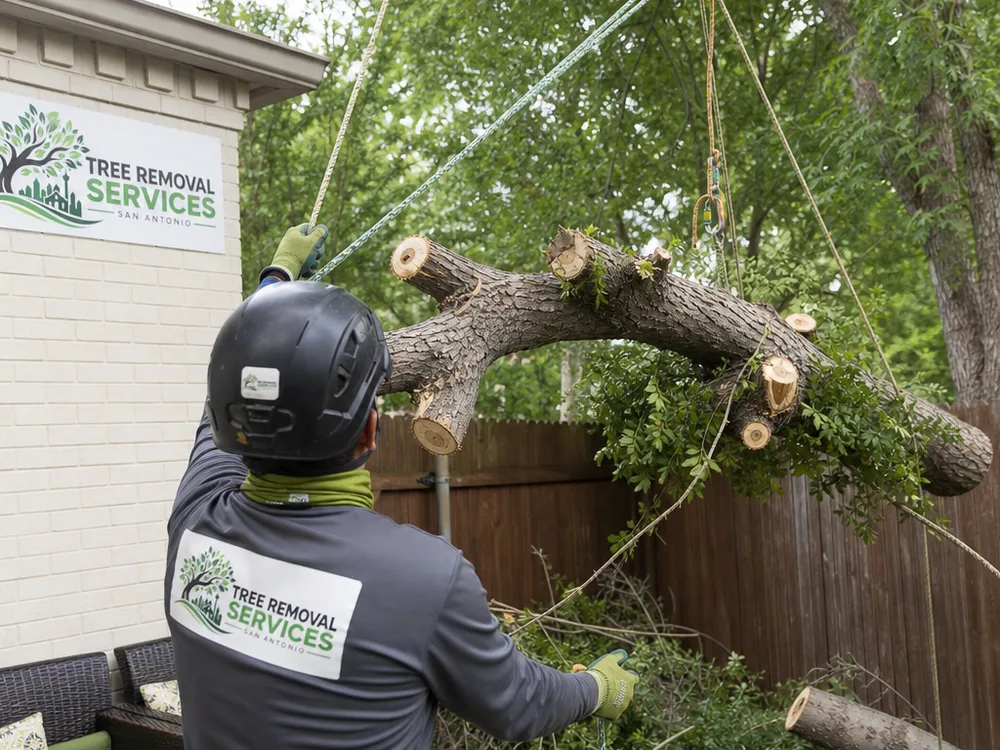 Crew using ropes and rigging to lower tree sections away from a backyard fence and patio